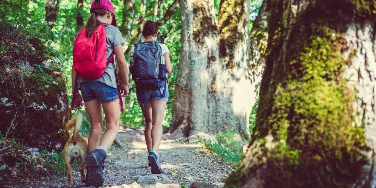 10 Essential Hiking Tips For Beginners